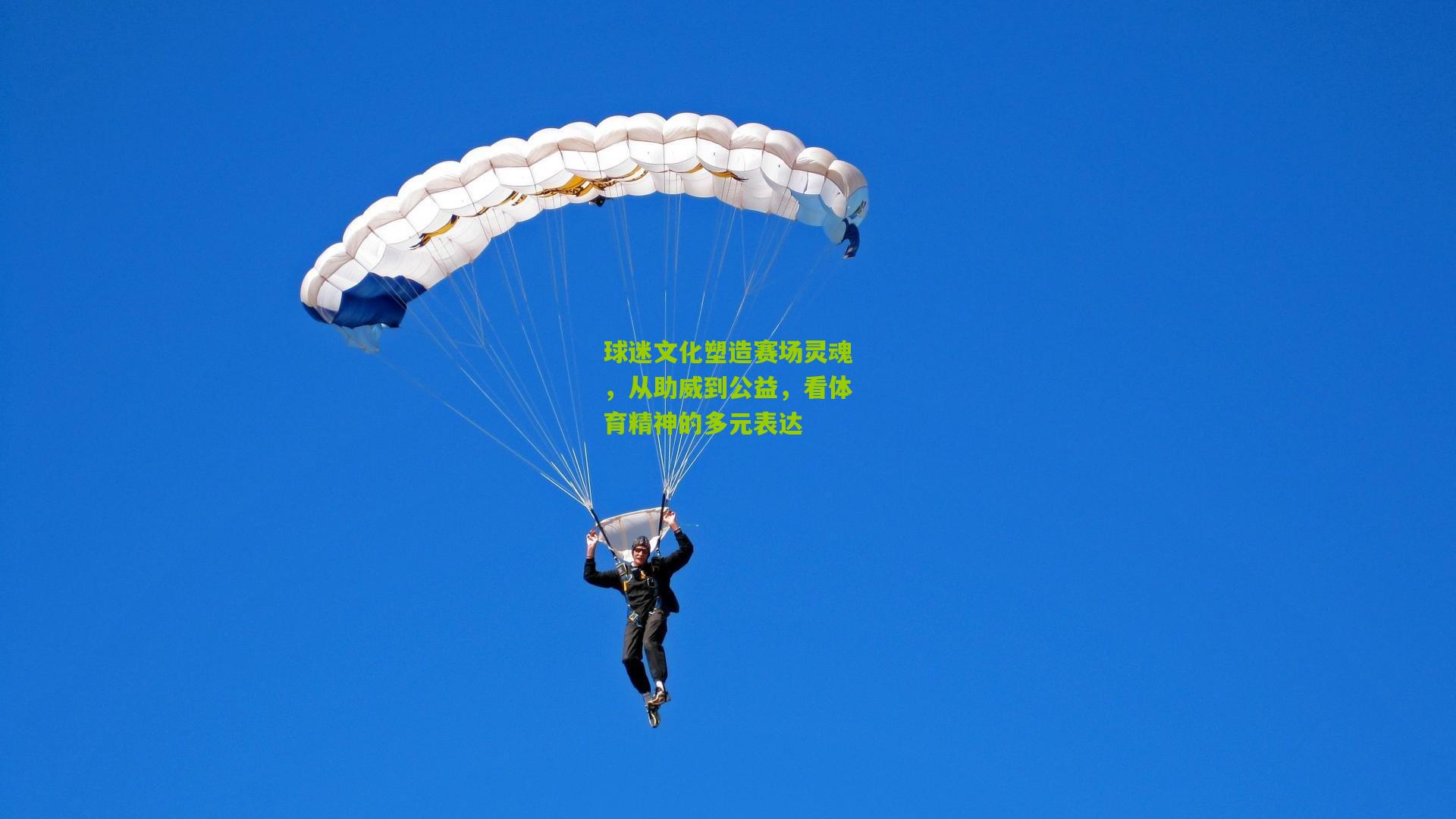 球迷文化塑造赛场灵魂，从助威到公益，看体育精神的多元表达